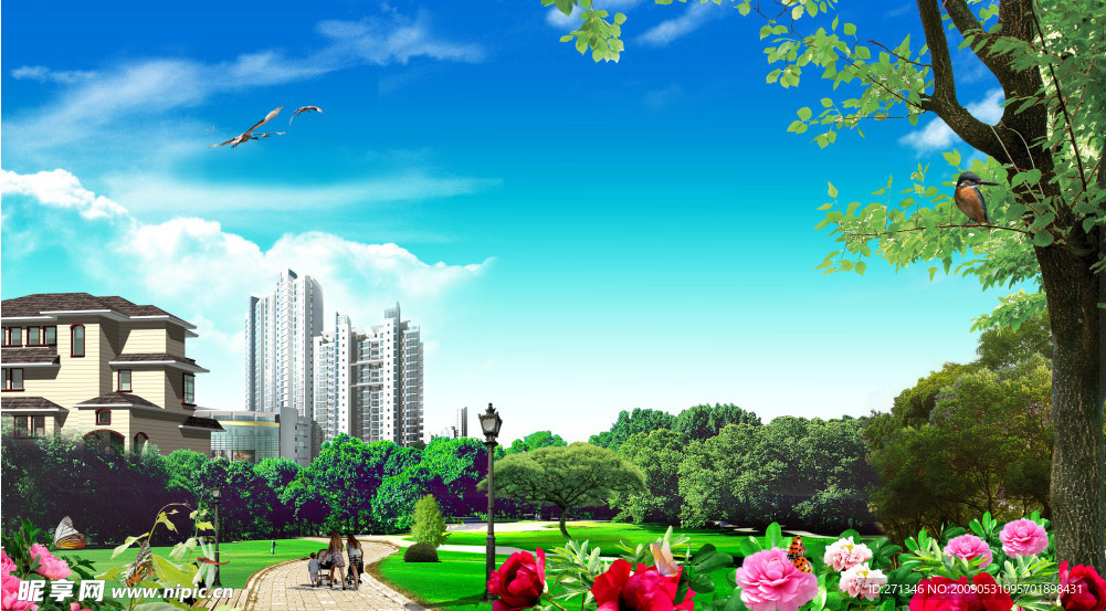 风景