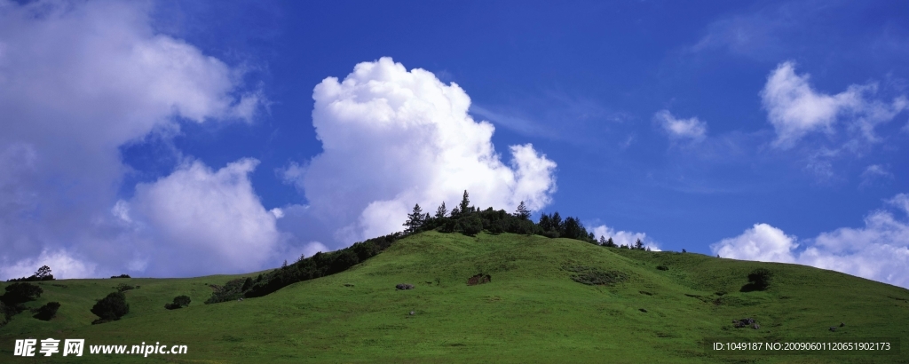 山坡