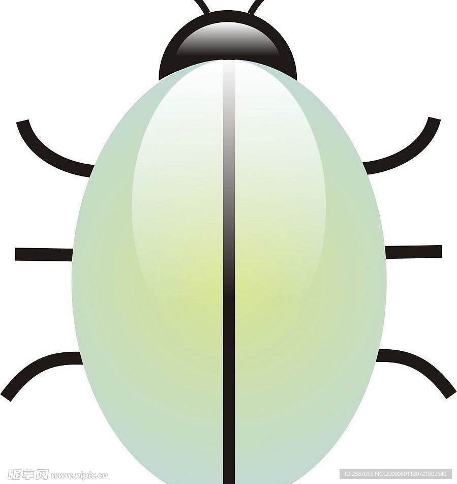 甲壳虫