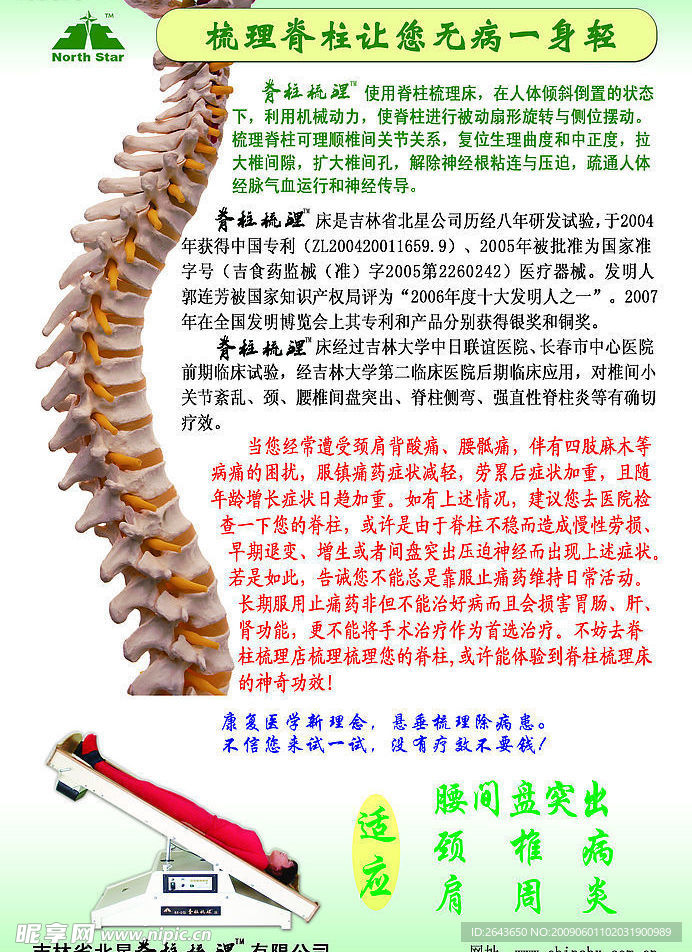 脊柱挂图彩页