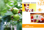 广盛食品有限公司果丹皮样本内页