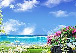 婚纱模板