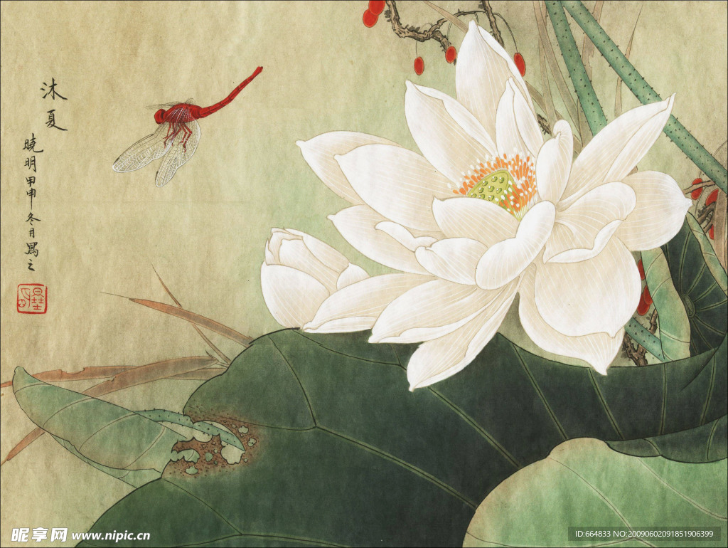 沐夏