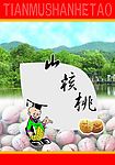 山核桃