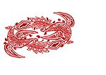 大益茶 神鸟