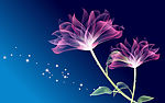 花朵壁纸