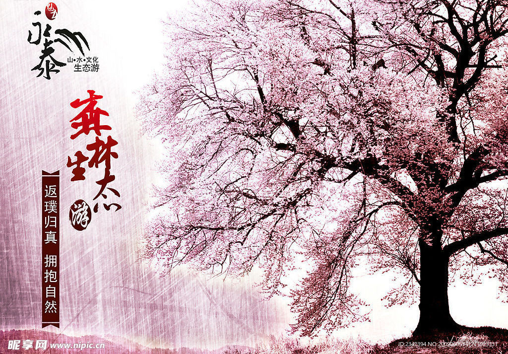 森林生态游