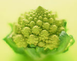 蔬菜水果特写