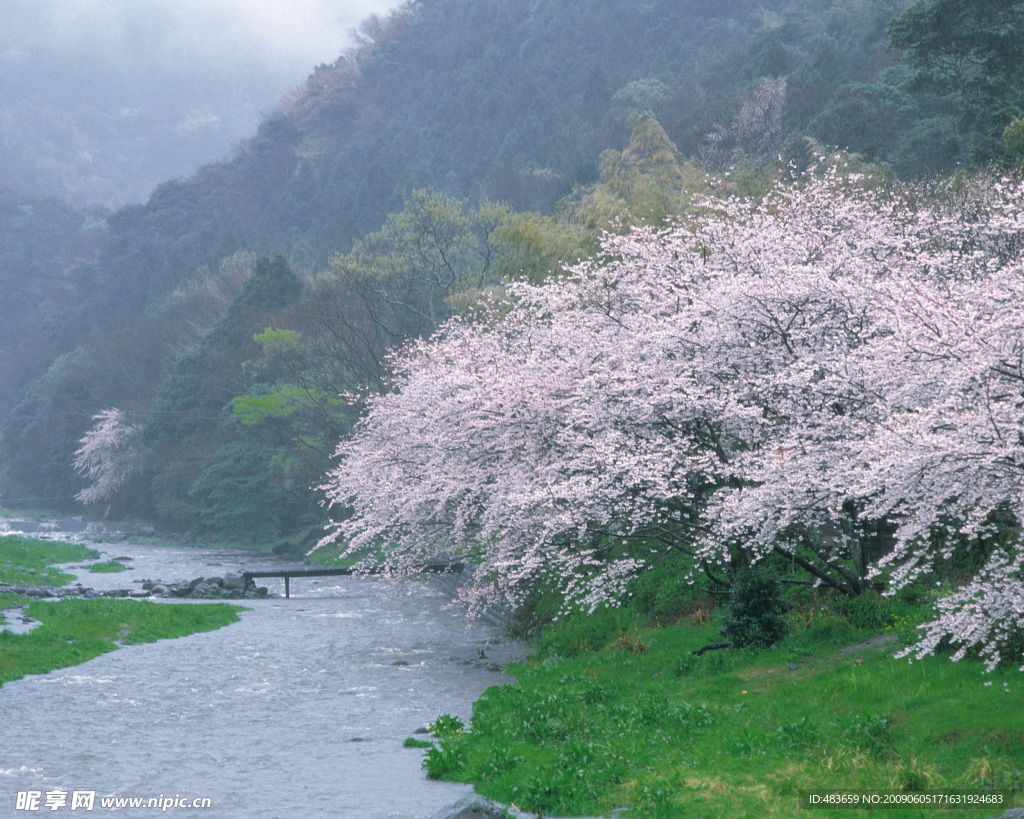 风景