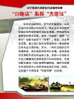 部队版面