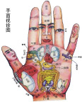 手部图