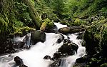 高山流水