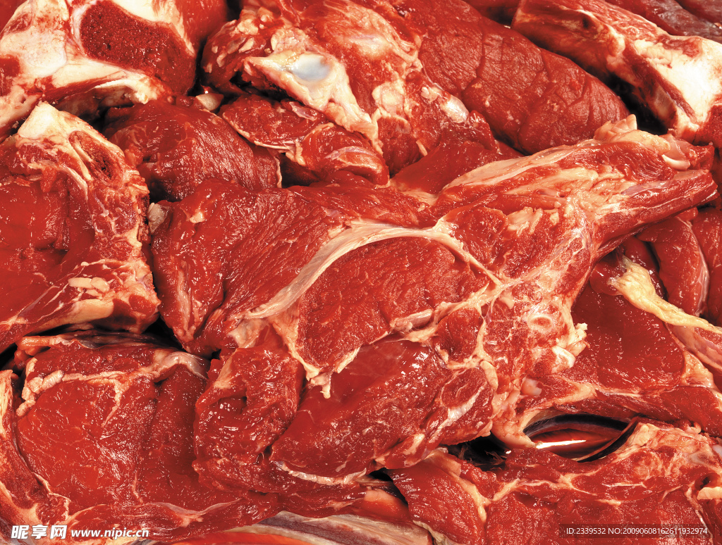 鲜肉