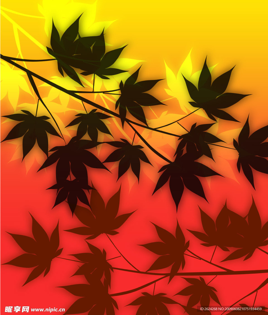 枫叶