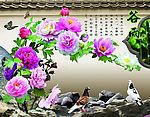 牡丹花