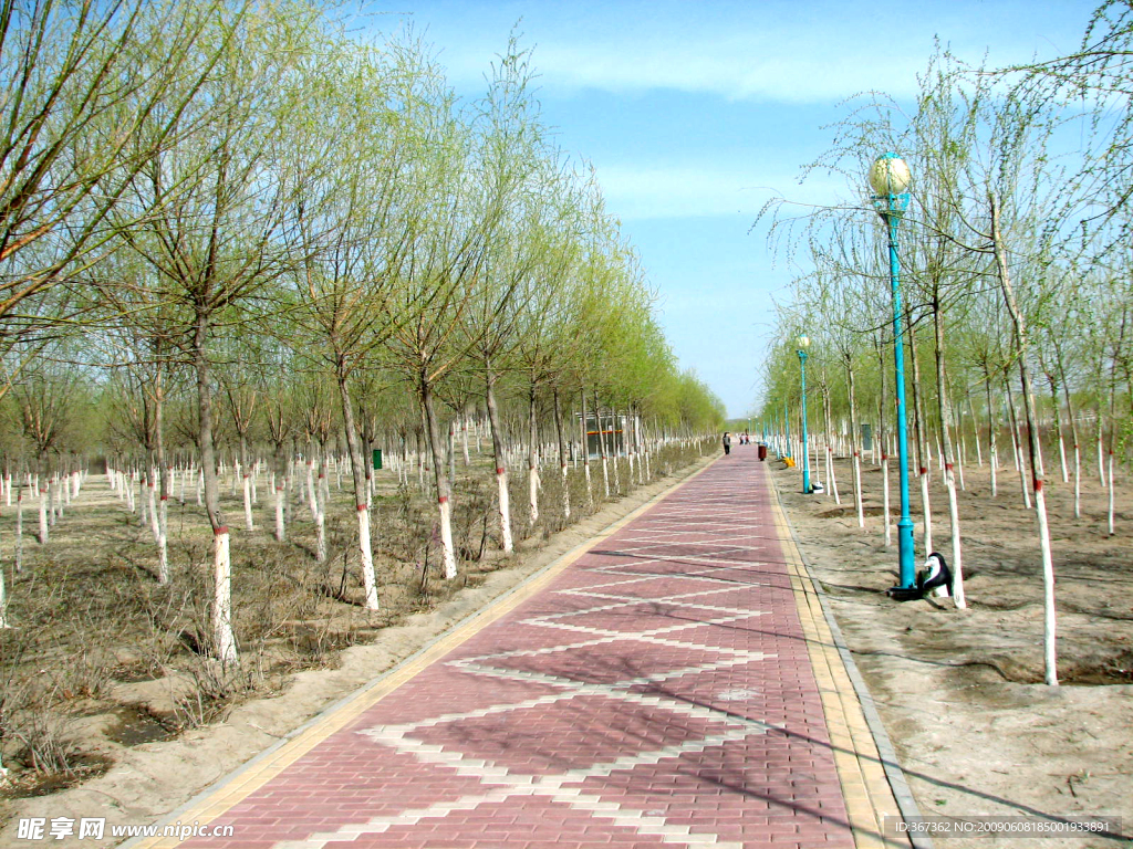 路边风景