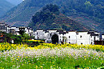 农村春光