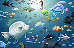 海底鱼类PSD分层素材