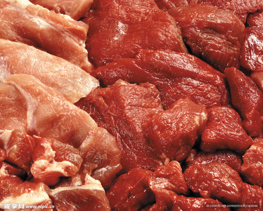 鲜肉