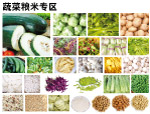 蔬菜粮米区