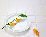 蔬菜水果特写