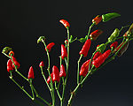 蔬菜水果特写