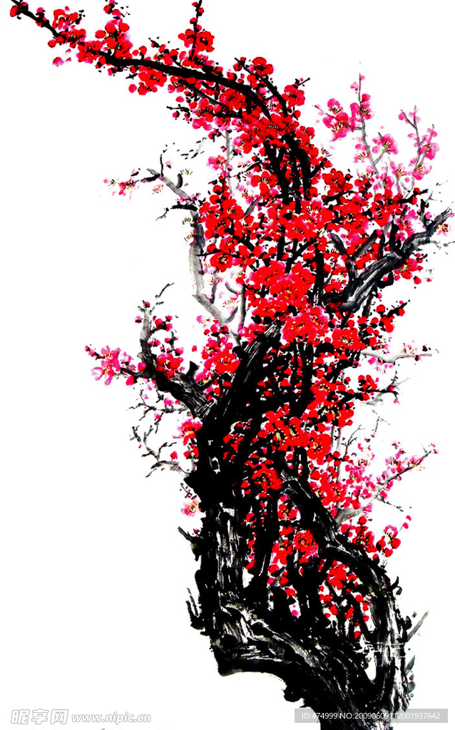 梅花