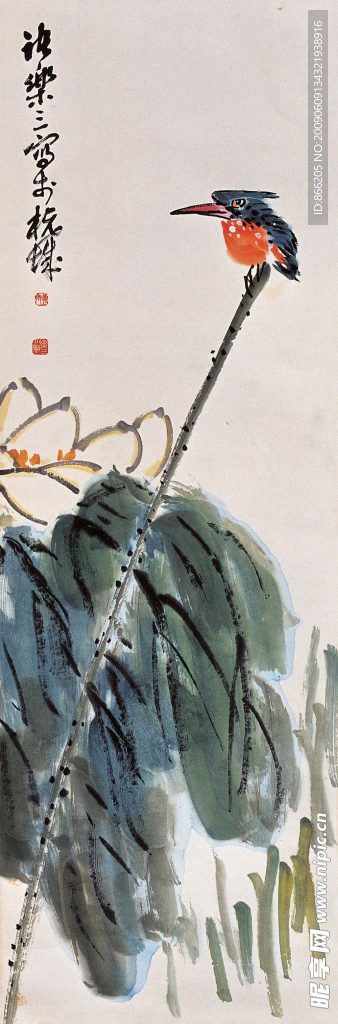 花鸟