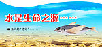 水是生命之源