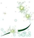PSD素材花边底纹