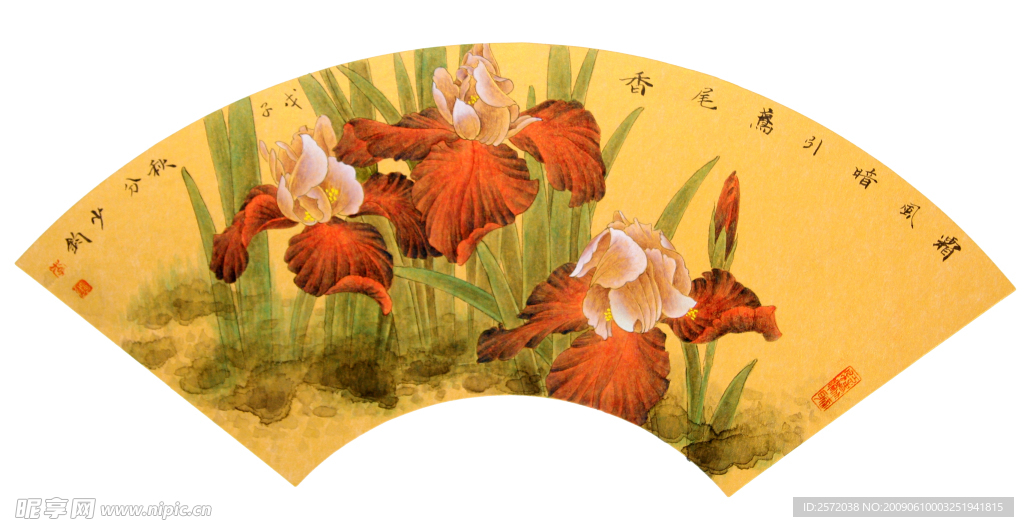花鸟画