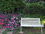 花園景色