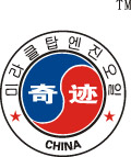 武汉奇迹集团矢量标志