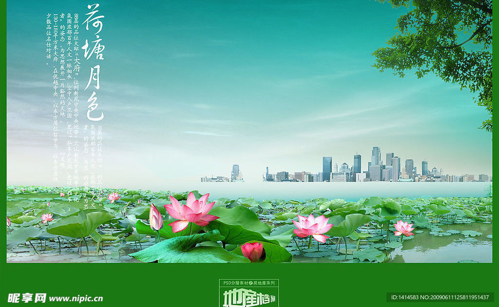 荷花