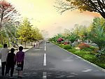 银杏大道秋景