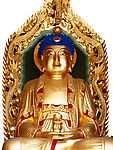 金佛