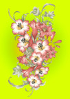 手绘花