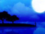 夜色风景