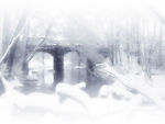 冰雪世界