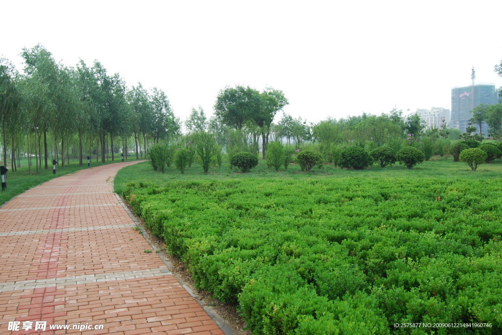 花园小路