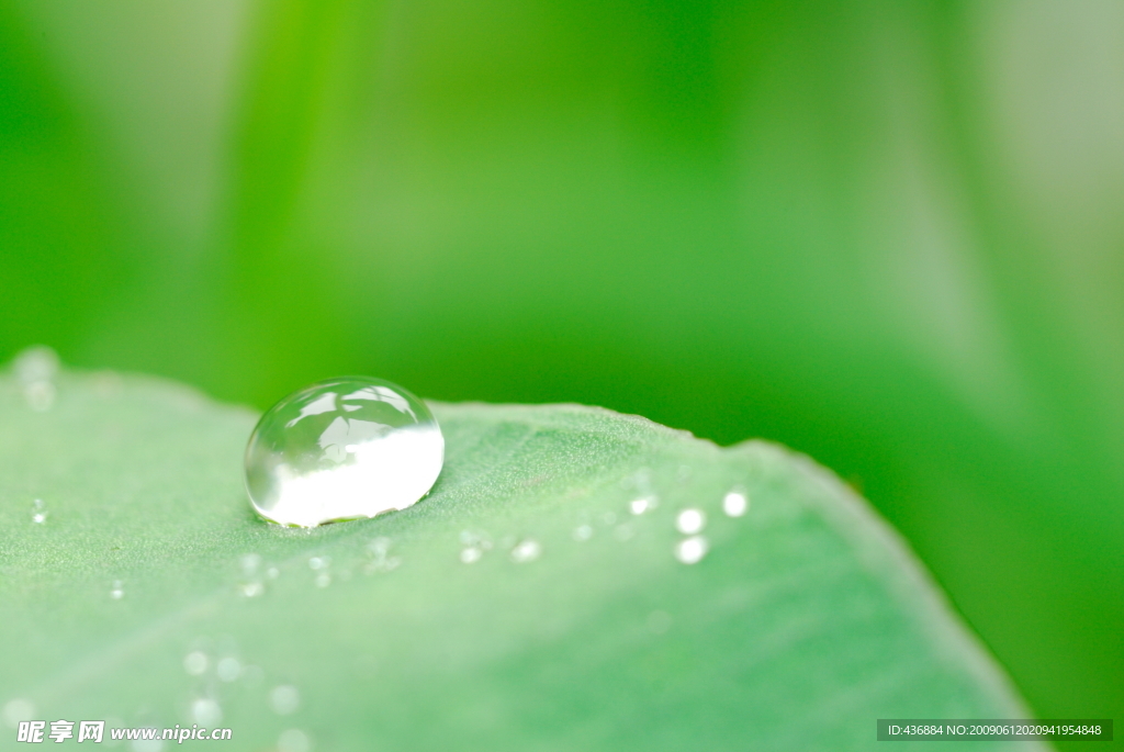 水滴