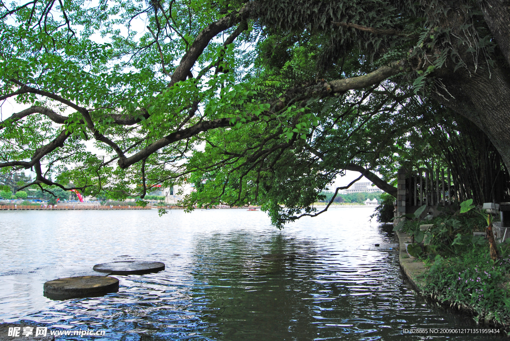 西湖风景