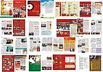 中国人寿十一期