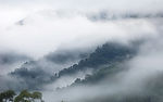 美丽仙境