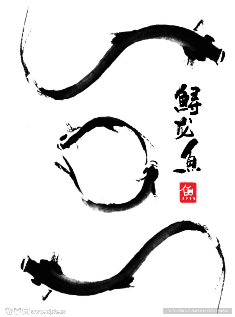 墨鱼
