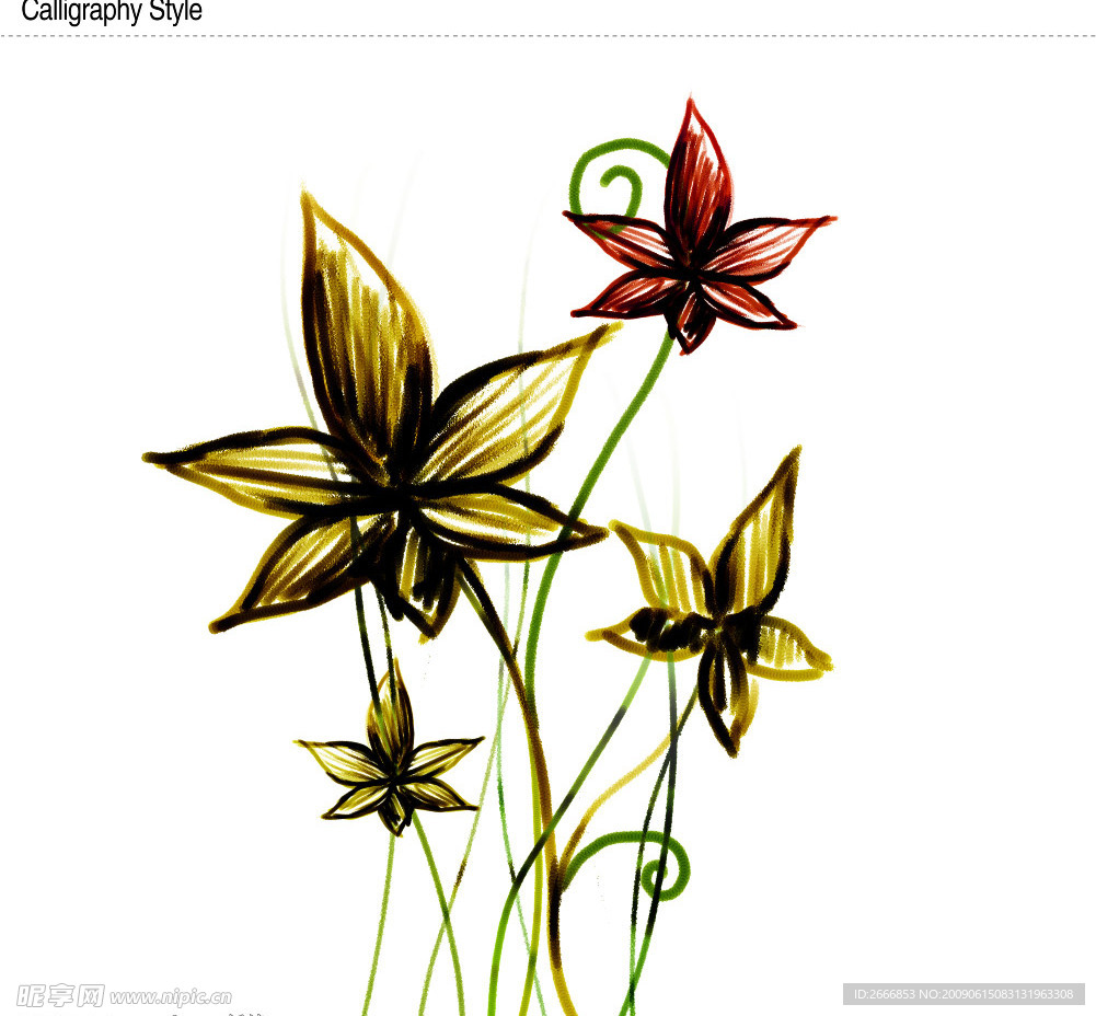 植物花纹