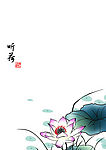 听荷