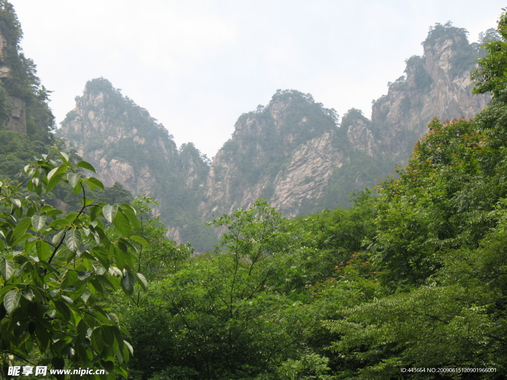 起伏的山峰