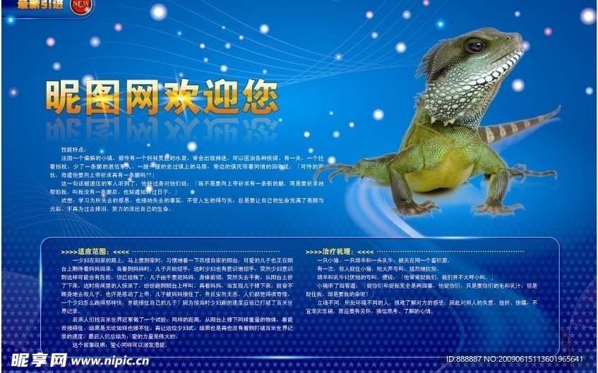 有质感的杂志广告矢量模版（广告内容可更改）