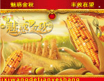 魅惑金秋